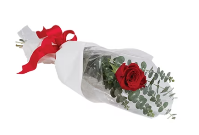 The One - A beautiful rose stem, gift-wrapped with complimenting foliage to help express your emotion.