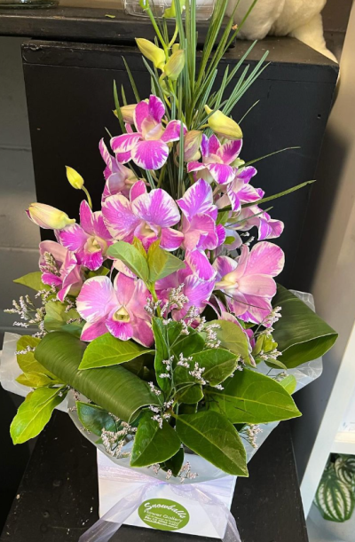 Simply Sweet - An arrangement of Singapore orchids created is a mini box, great for a hospital bedside table or nursing home room. Orchids may differ in colour from those pictured.